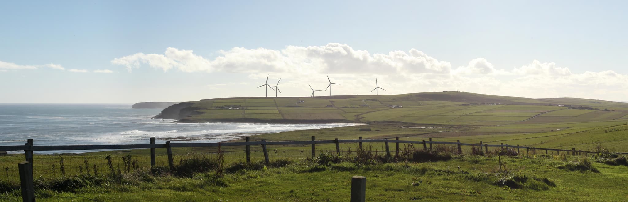 Hesta Head_photomontage.jpg